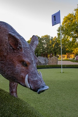 Bahn 1 - Die Salzsau