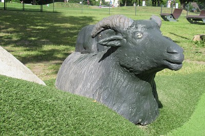 Bahn 18 - Heidschnucke