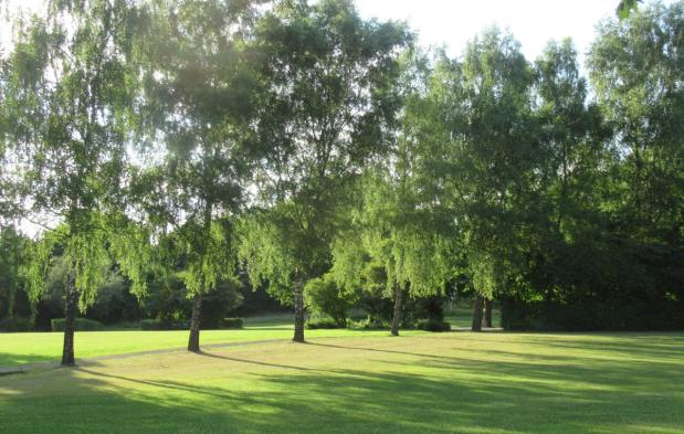 Der Park strahlt im Abendlicht