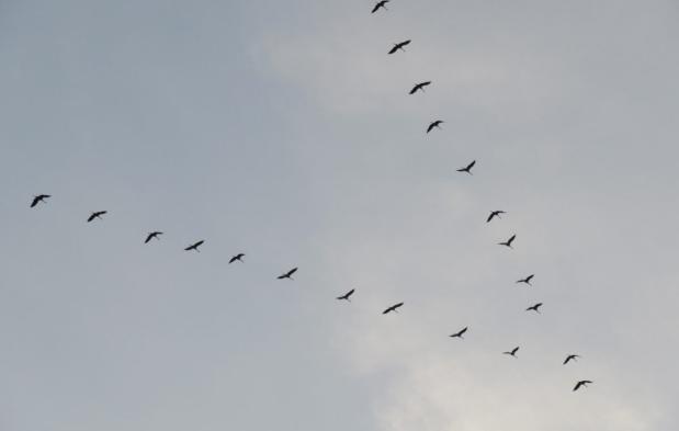 Auf ein Wiedersehen im nächsten Jahr