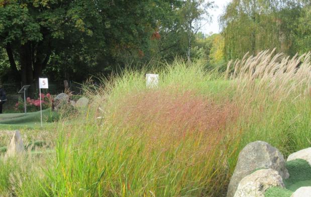 Herbst beim Schnucken-Golf