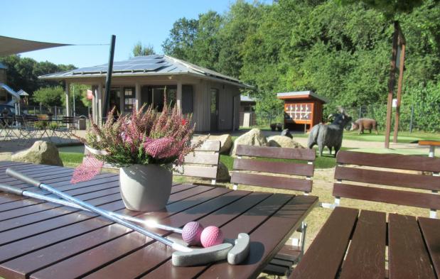 Magisches Lila inkl. farblich angepasster Golfbälle