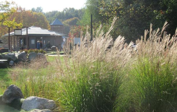 Goldener Oktober beim Schnucken-Golf