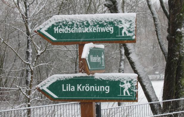 Winter beim Schnucken-Golf