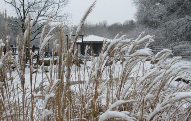 Winter beim Schnucken-Golf