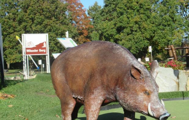 Oktobersommer beim Schnucken-Golf