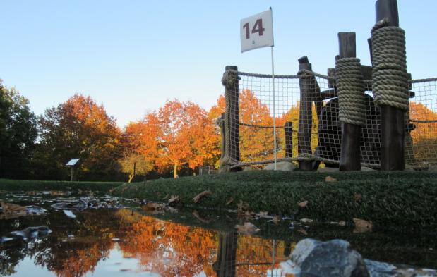 Oktobersommer beim Schnucken-Golf