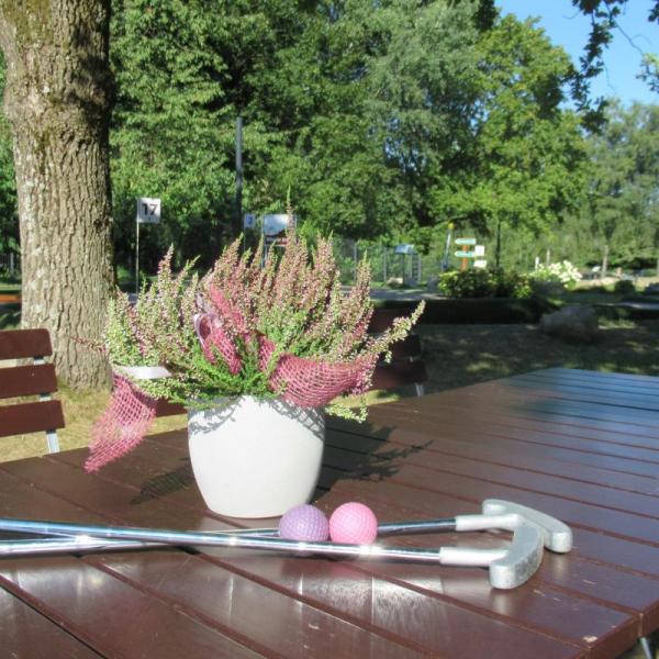 Magisches Lila - 14.8.2026
